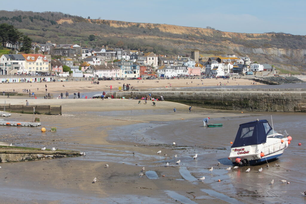 img-start-05 svg+xml;charset=utf