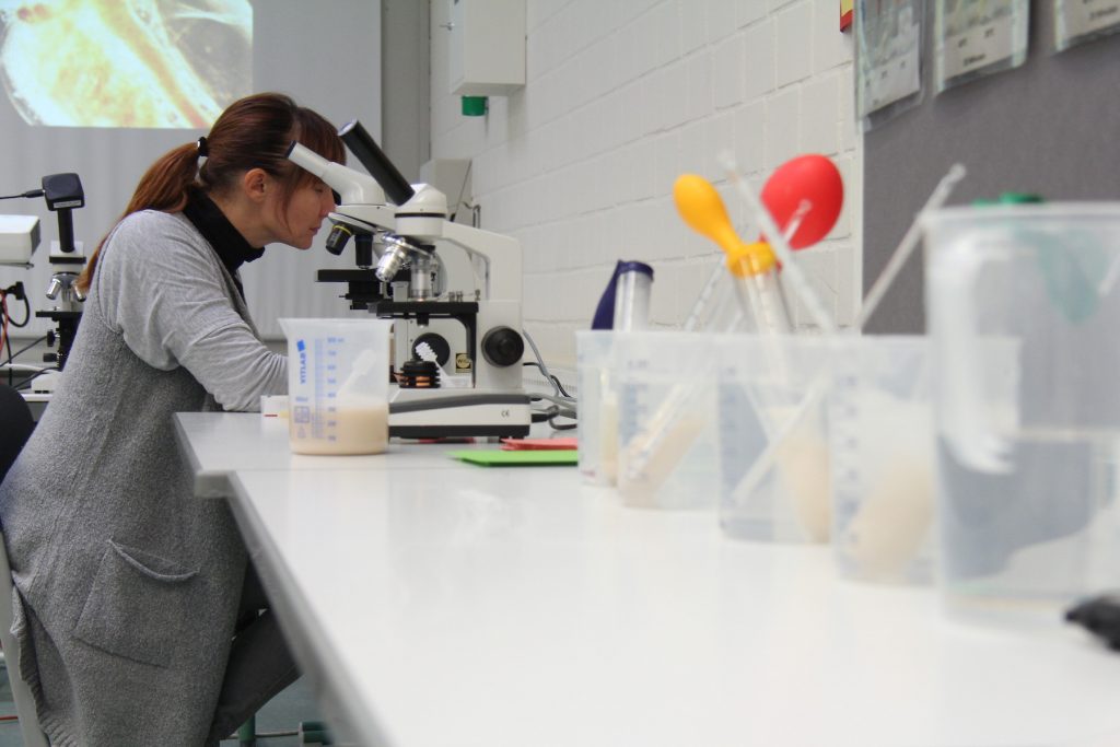 Homepage_Start_021 svg+xml;charset=utf