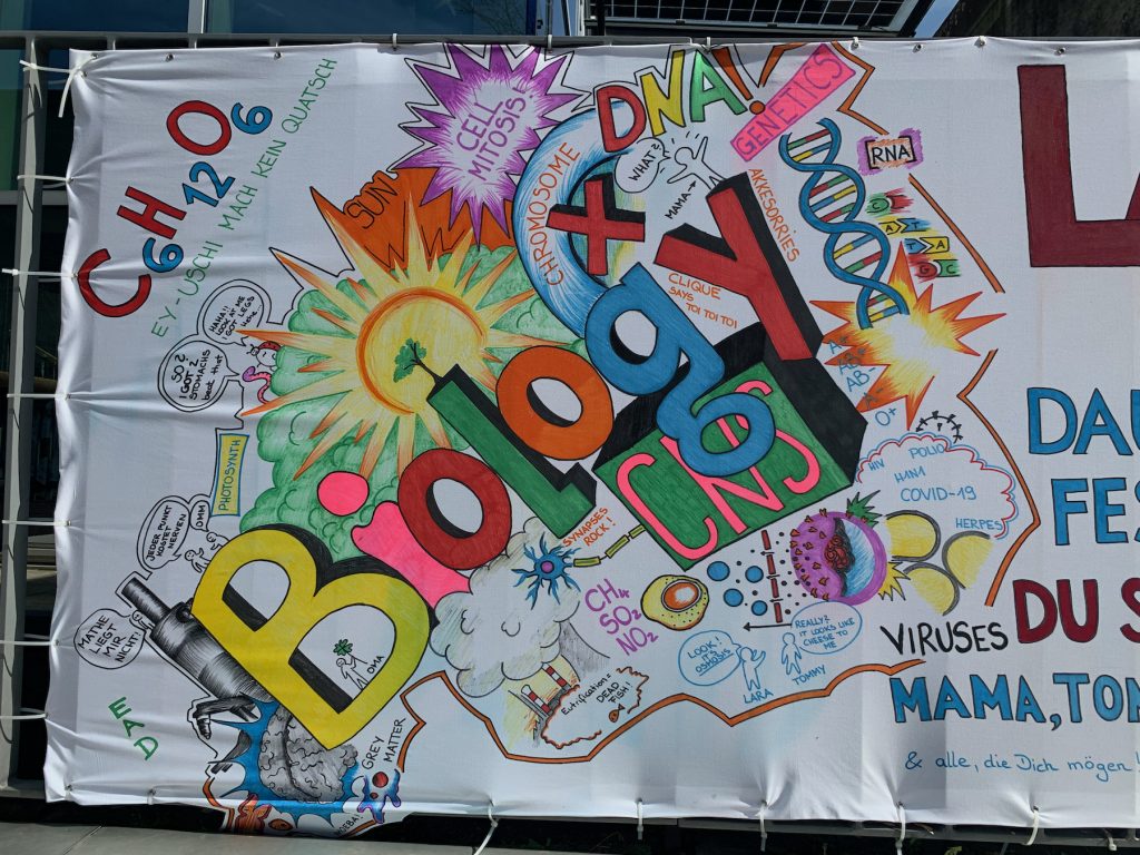 Homepage_Start_066 svg+xml;charset=utf