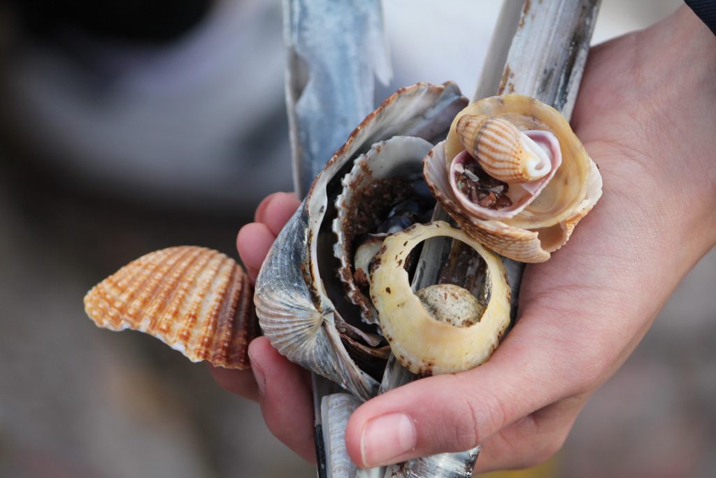 Homepage_Start_105 svg+xml;charset=utf