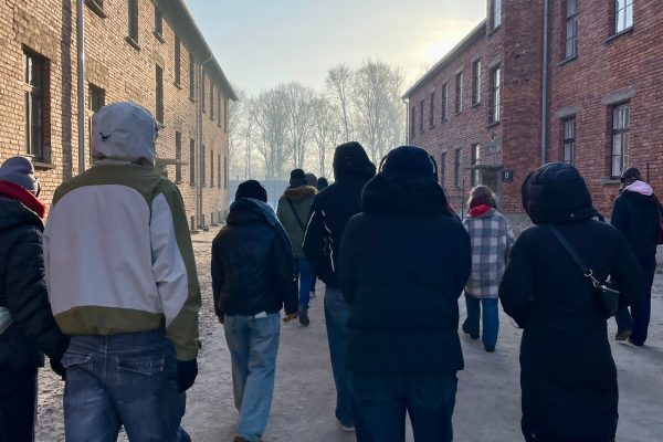 Bild 3 Auschwitz 2026