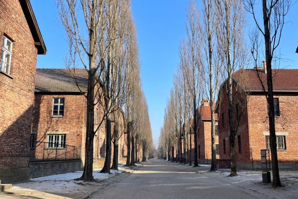 Bild 4 Auschwitz 2026