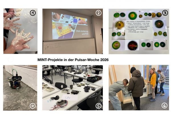 MINT zum Anfassen – Pulsar-Woche begeistert Lernende mit vielfältigen Projekten 4 MINT Info